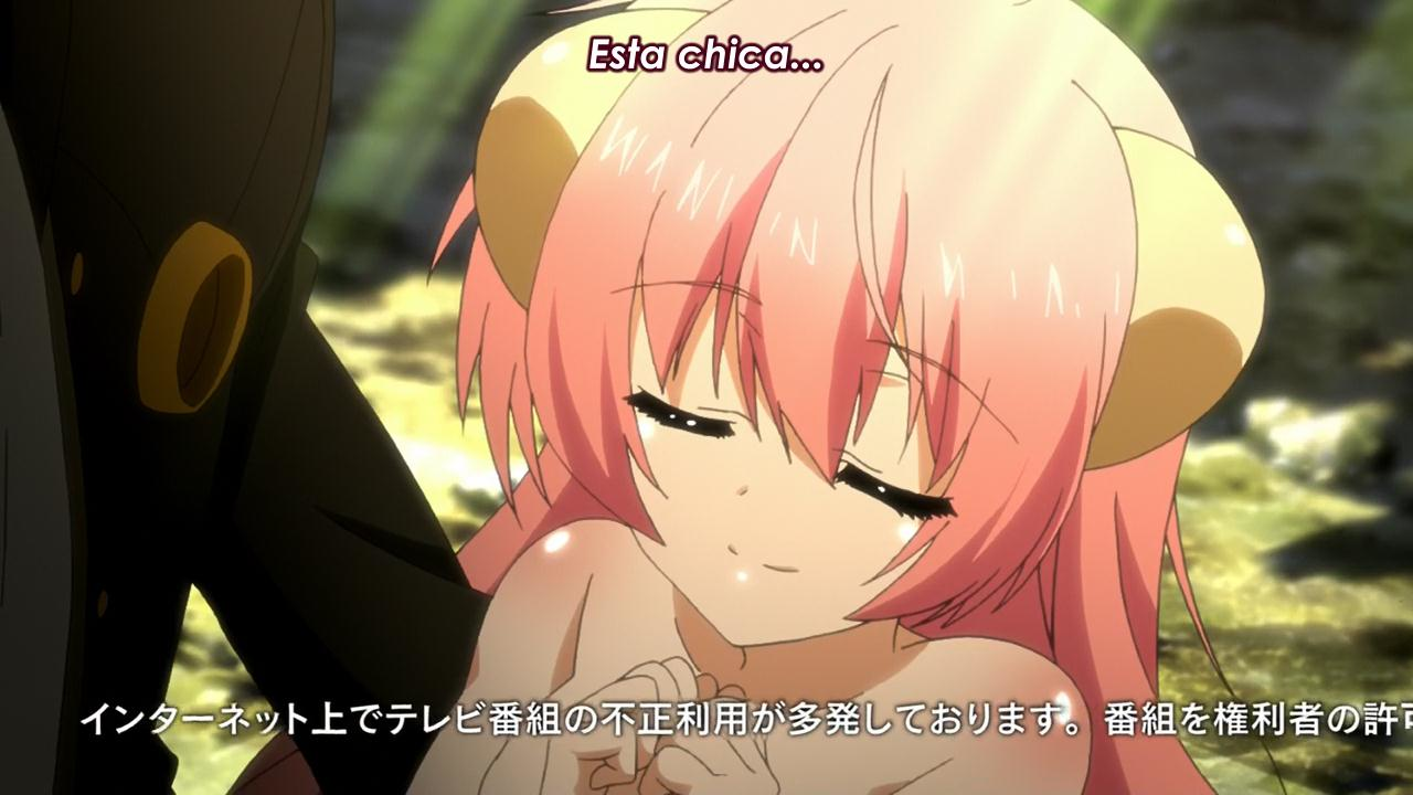 Seikoku no Dragonar (Anime Underground)